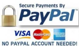Secure payments by PayPal